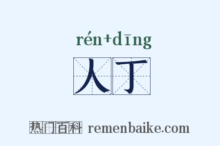人丁是什么意思的图片